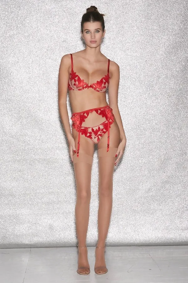 Lily Embroidery Plunge Demi Bra Rouge
