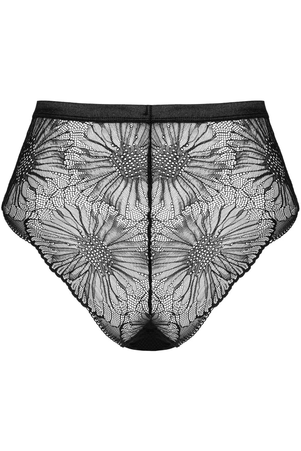 Mibelia Brief