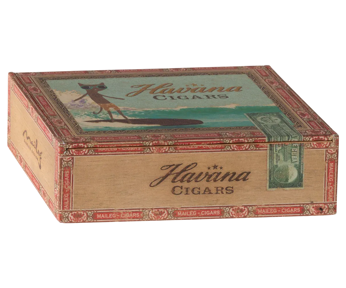 Mum and Dad Mice in Cigar Box