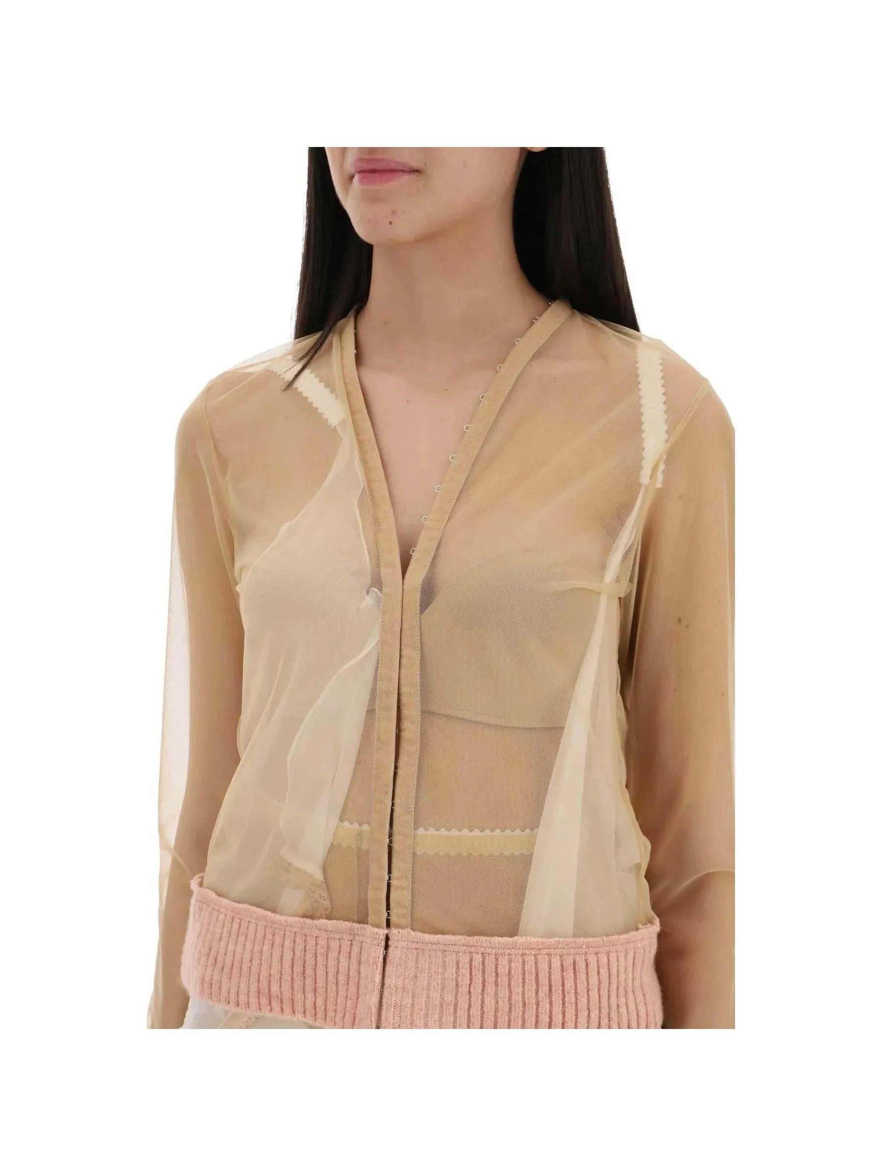 Sheer Mesh Long-Sleeved Top